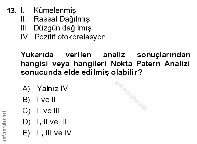 Soru 13