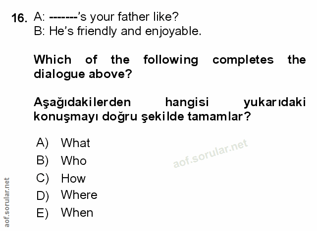 Soru 16