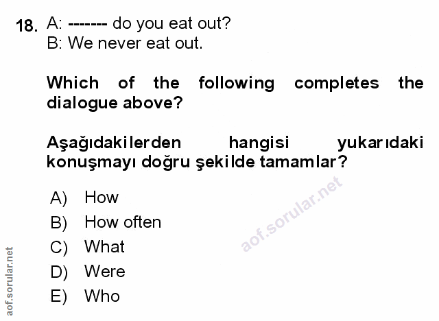 Soru 18