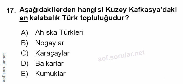 Soru 17