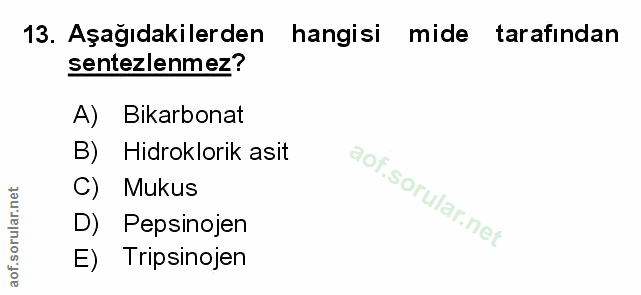 Soru 13