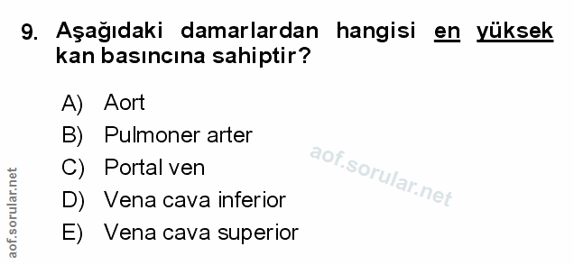 Soru 9