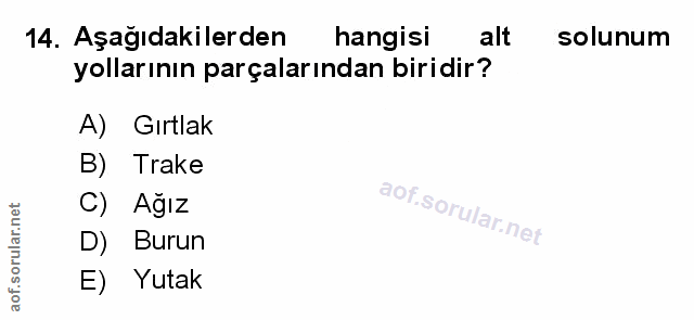 Soru 14