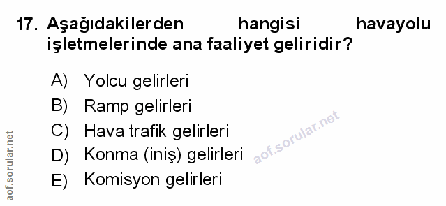 Soru 17