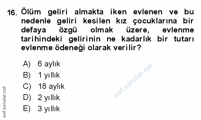 Soru 16