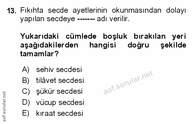 Soru 13