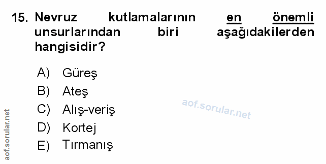 Soru 15