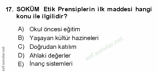 Soru 17