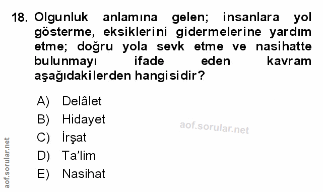 Soru 18