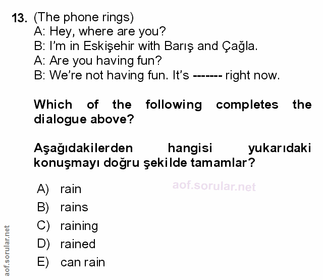 Soru 13