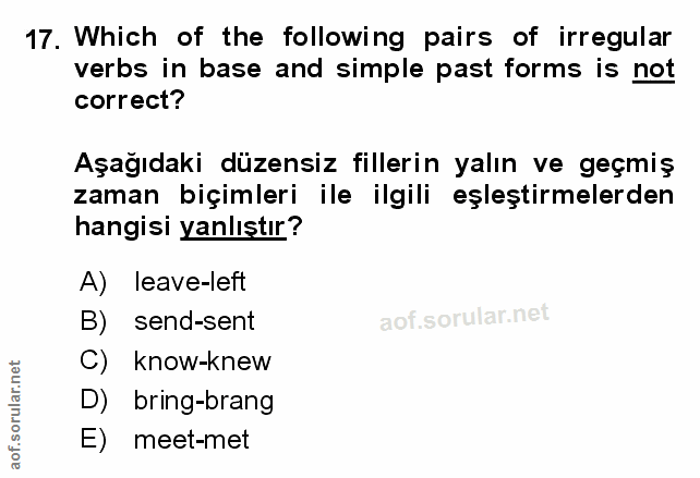 Soru 17