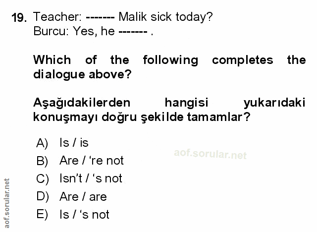 Soru 19