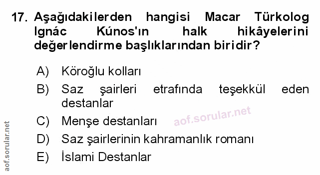 Soru 17