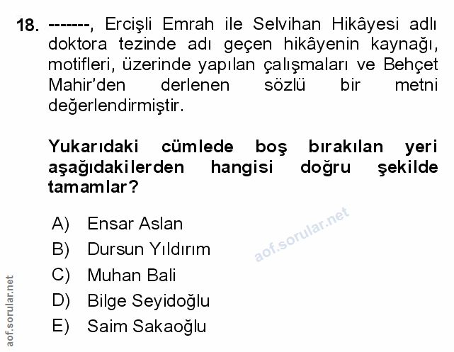 Soru 18