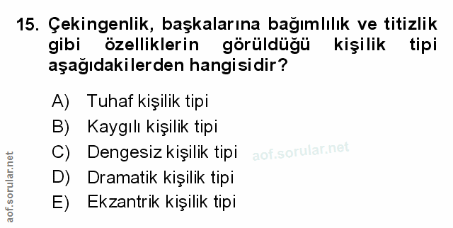 Soru 15