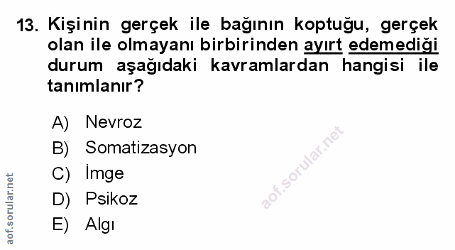 Soru 13