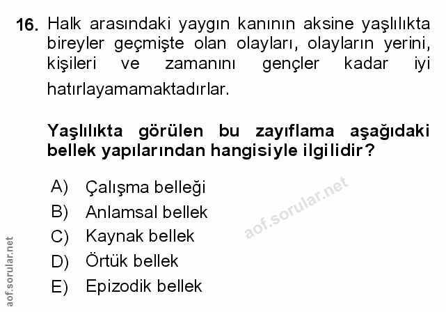 Soru 16