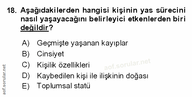 Soru 18