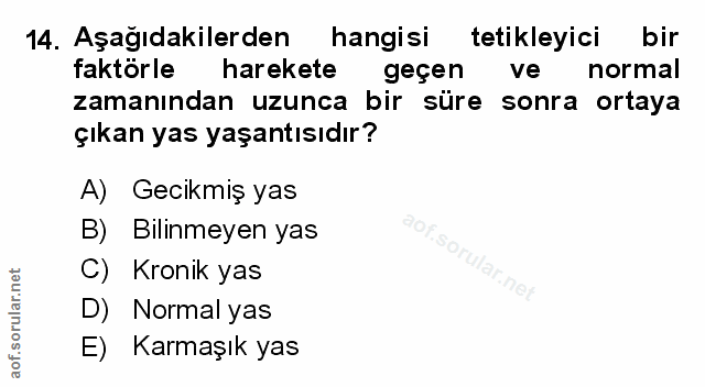 Soru 14