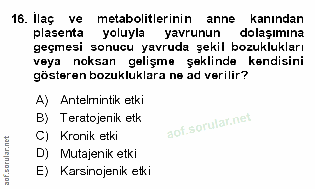 Soru 16