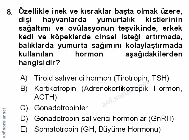 Soru 8