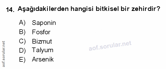 Soru 14