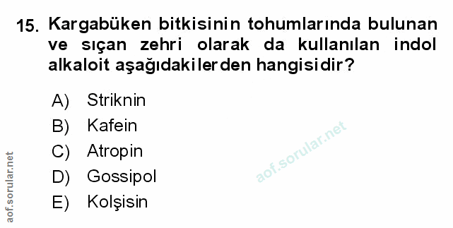 Soru 15