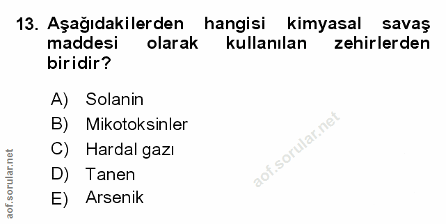 Soru 13
