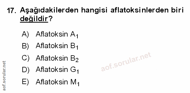 Soru 17