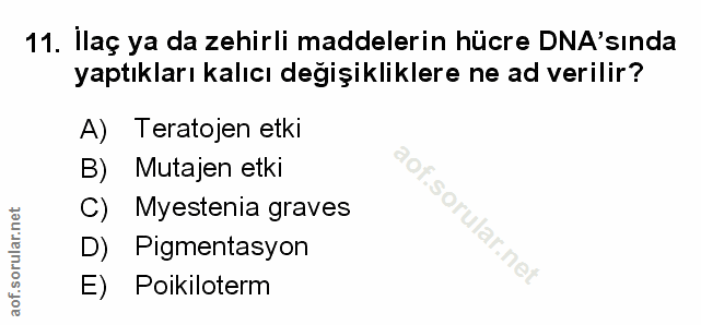 Soru 11