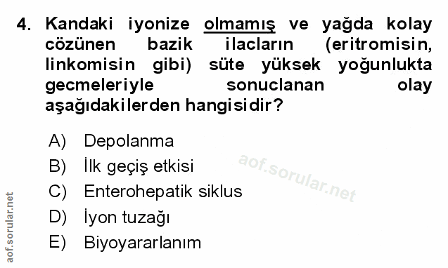 Soru 4
