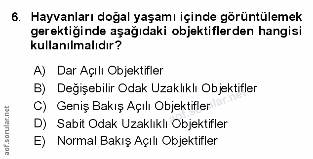 Soru 6