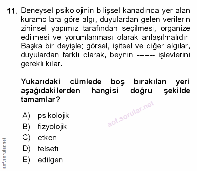 Soru 11