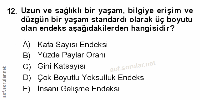 Soru 12