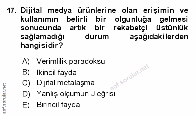 Soru 17