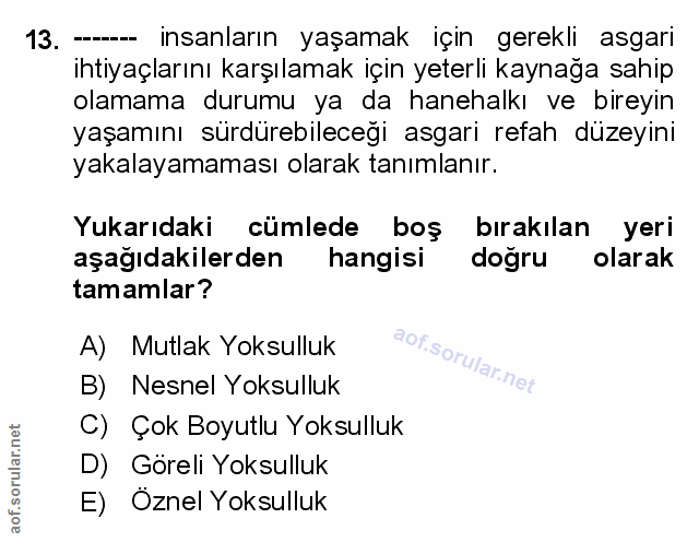 Soru 13