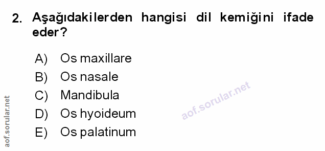 Soru 2