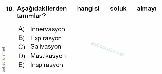 Soru 10