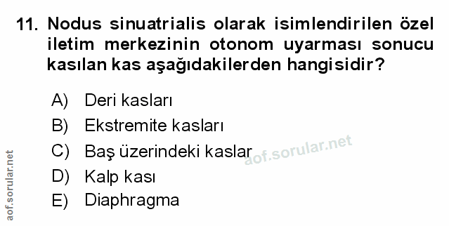 Soru 11