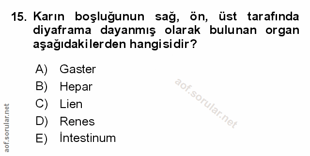 Soru 15