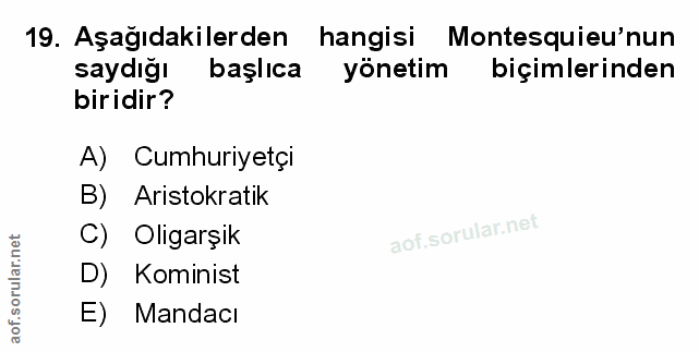 Soru 19