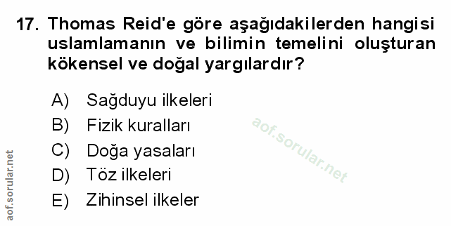 Soru 17
