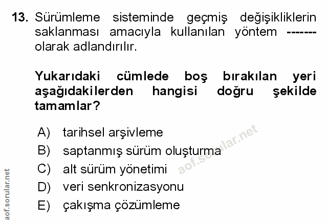 Soru 13