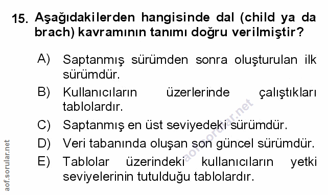 Soru 15