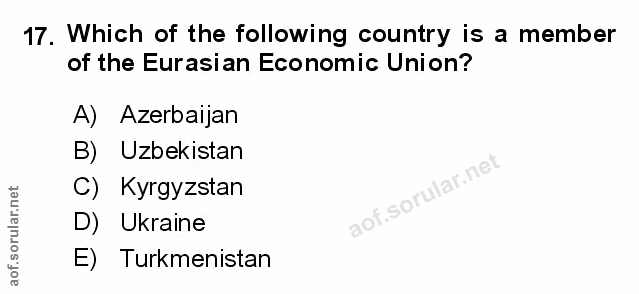 Soru 17