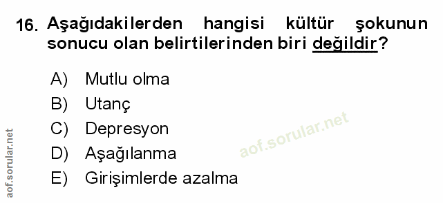 Soru 16
