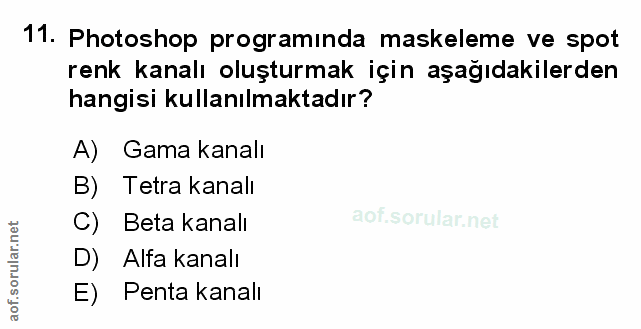 Soru 11