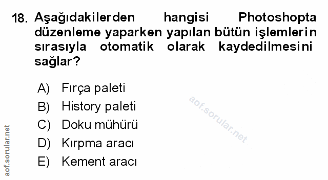 Soru 18