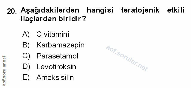 Soru 20
