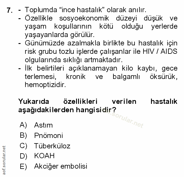 Soru 7